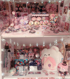 6th shelf